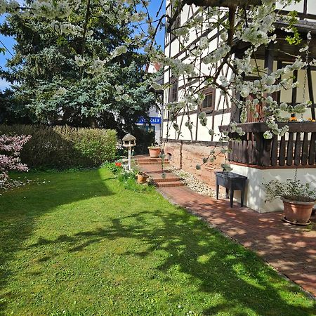 רודולשטאדט Apartments Am Saalebogen Mit Gartenterrasse, Grillkamin, Freie Parkplaetze מראה חיצוני תמונה