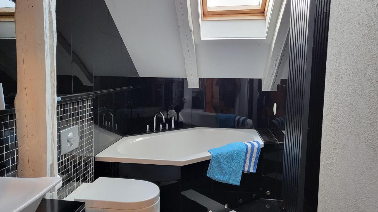 רודולשטאדט Apartments Am Saalebogen Mit Gartenterrasse, Grillkamin, Freie Parkplaetze מראה חיצוני תמונה