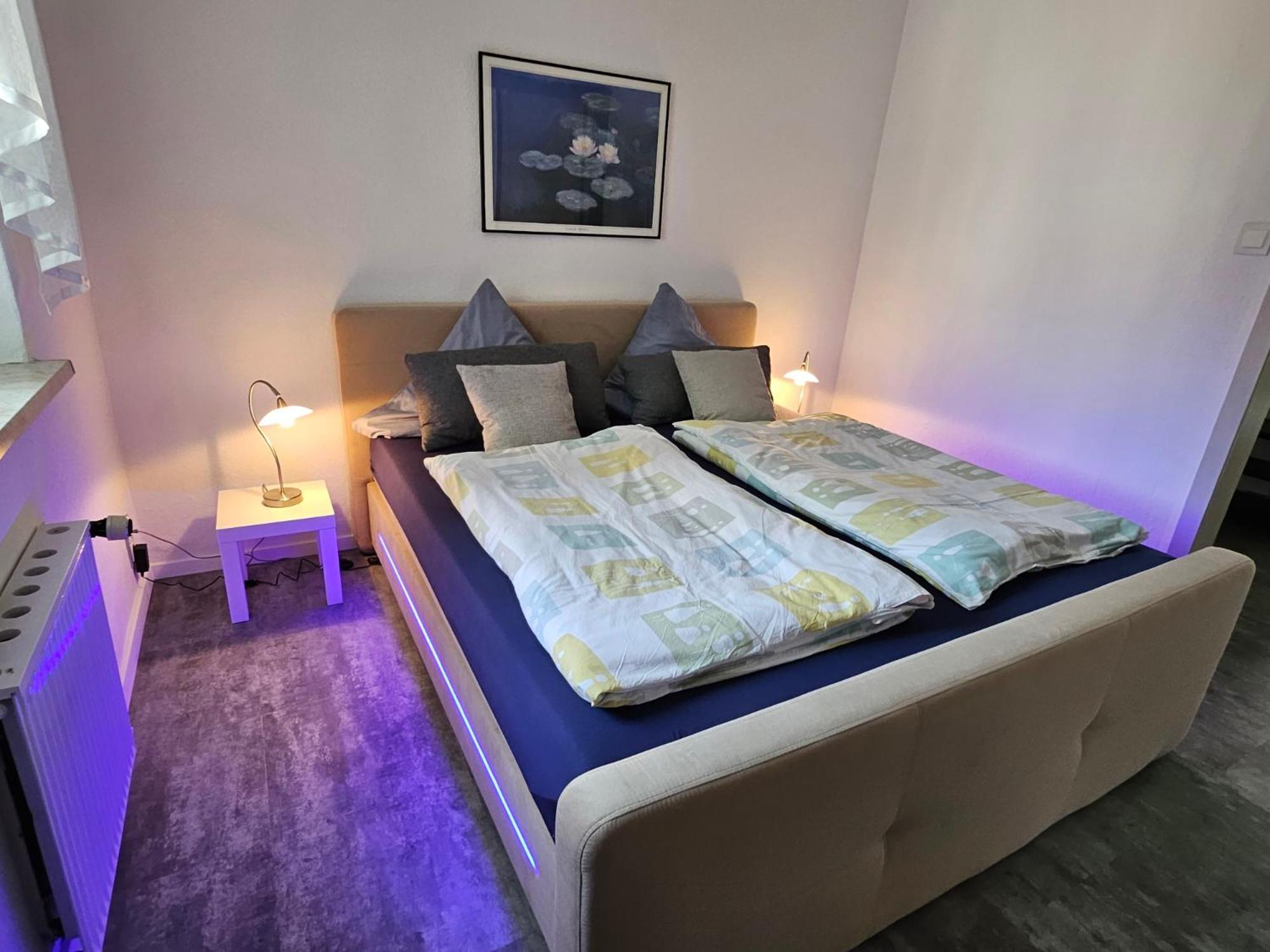 רודולשטאדט Apartments Am Saalebogen Mit Gartenterrasse, Grillkamin, Freie Parkplaetze מראה חיצוני תמונה