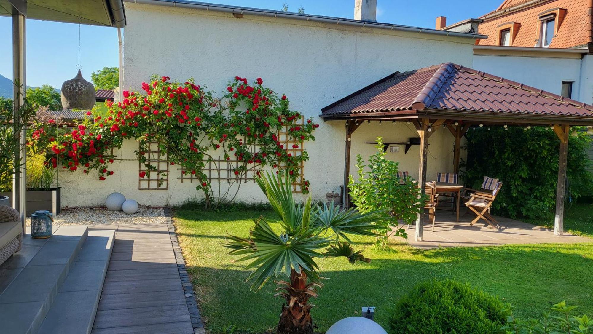 רודולשטאדט Apartments Am Saalebogen Mit Gartenterrasse, Grillkamin, Freie Parkplaetze מראה חיצוני תמונה