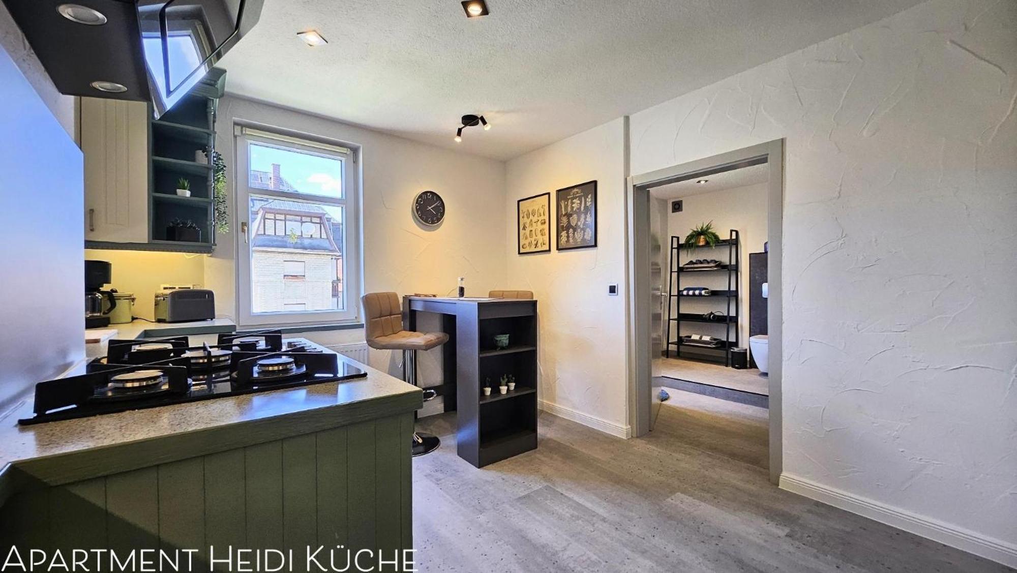רודולשטאדט Apartments Am Saalebogen Mit Gartenterrasse, Grillkamin, Freie Parkplaetze מראה חיצוני תמונה