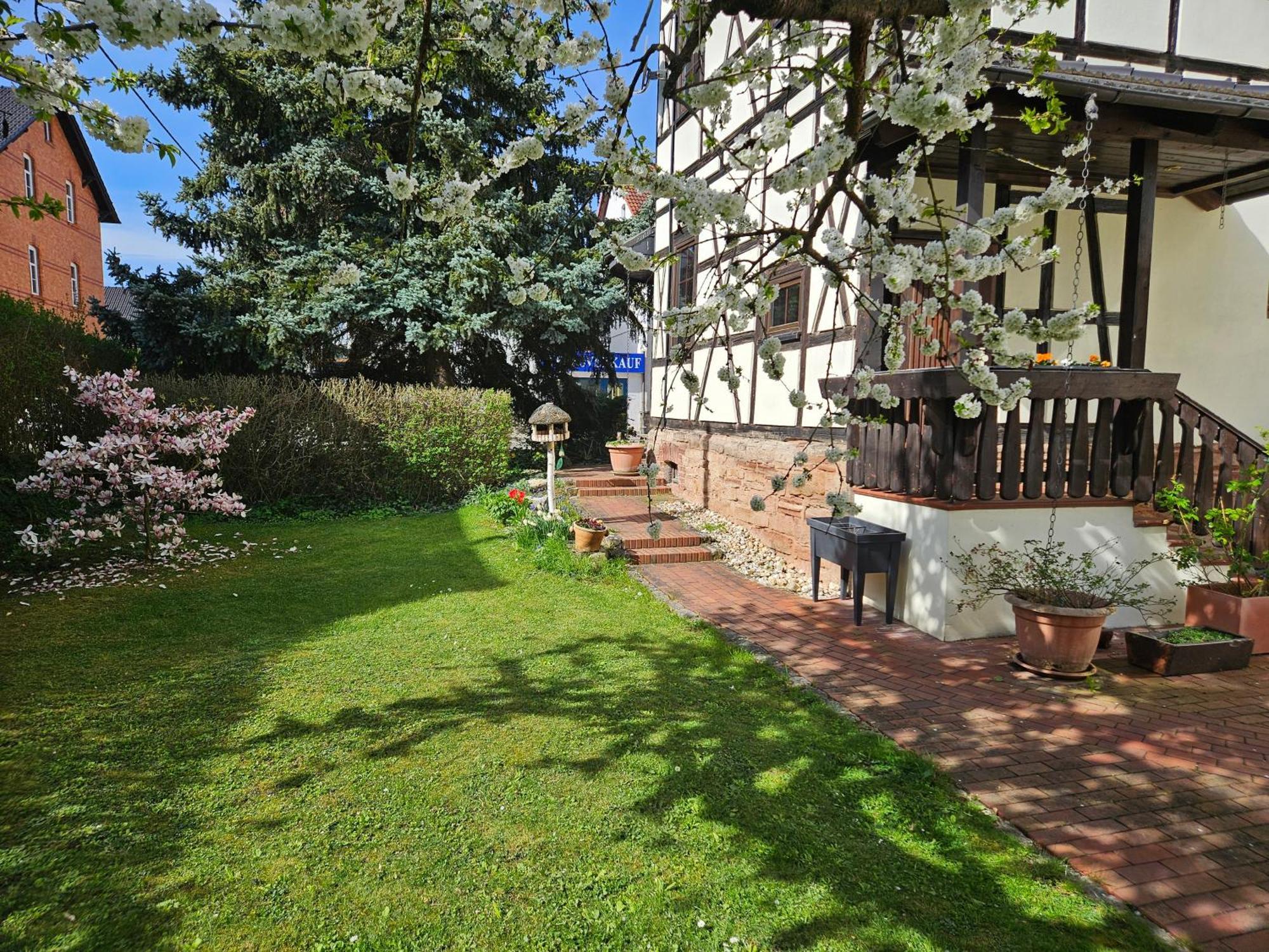 רודולשטאדט Apartments Am Saalebogen Mit Gartenterrasse, Grillkamin, Freie Parkplaetze מראה חיצוני תמונה
